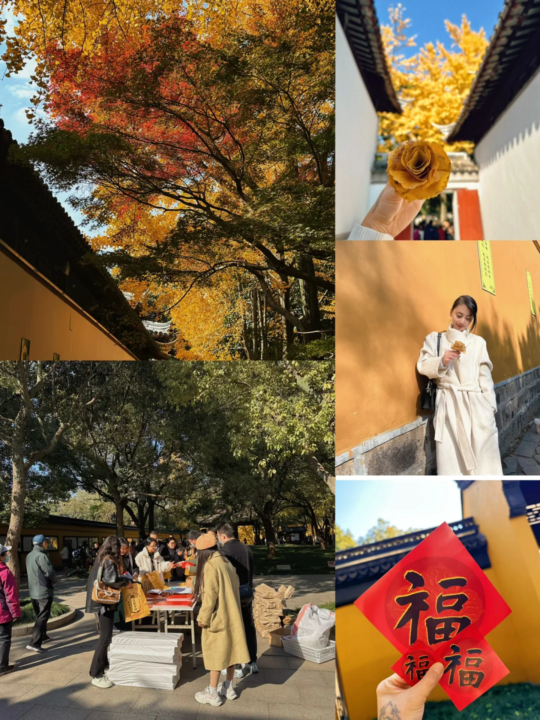 这个时候的西园寺拍照超美还有免费对联领哦