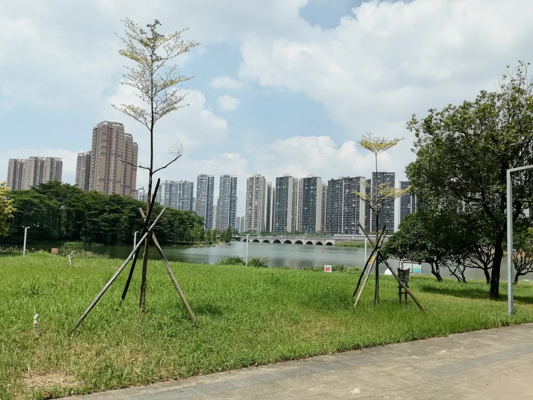 上海企业佛山三水摘地82亩投建项目