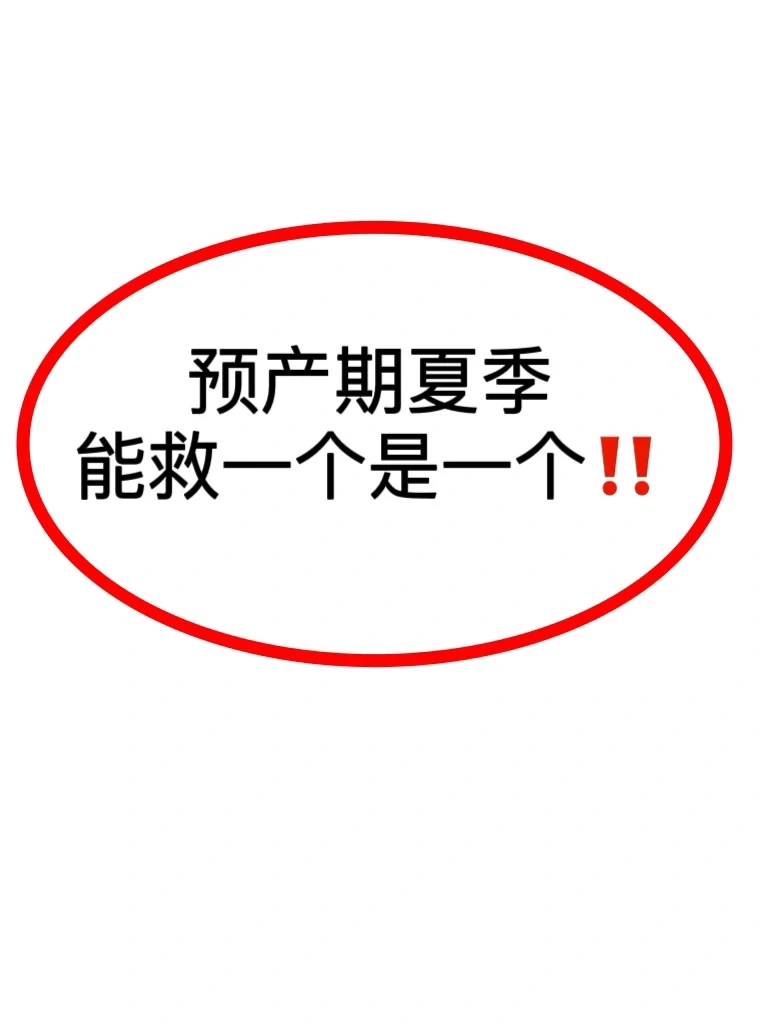 夏季预产期的姐妹👭存下吧，下次刷不到了‼️