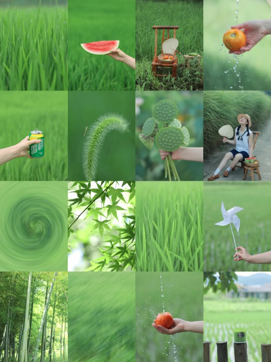 2022记忆存档/今年拍到最喜欢的绿色🌿