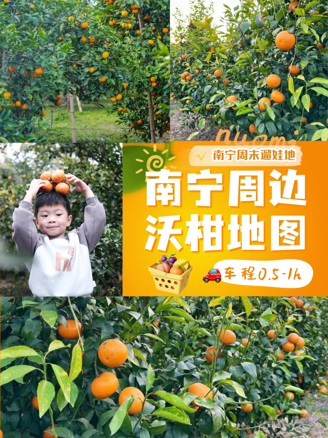 带娃摘果去！南宁周边5个宝藏果园开园咯