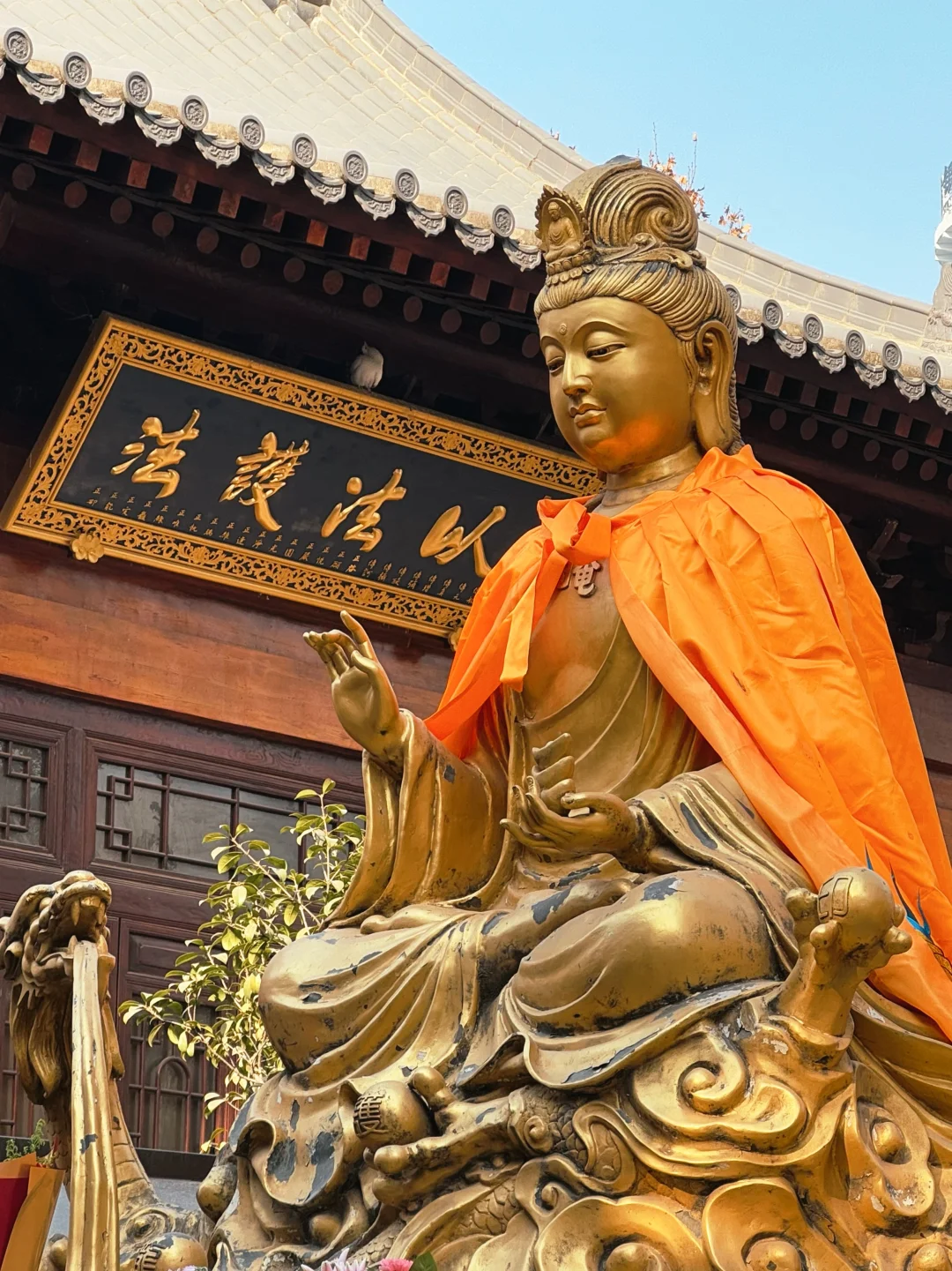 别白跑，西安大兴善寺