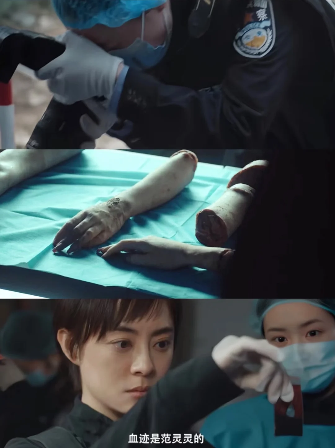 超大尺度‼️今晚开播‼️刑侦悬疑‼️开局碎尸‼️