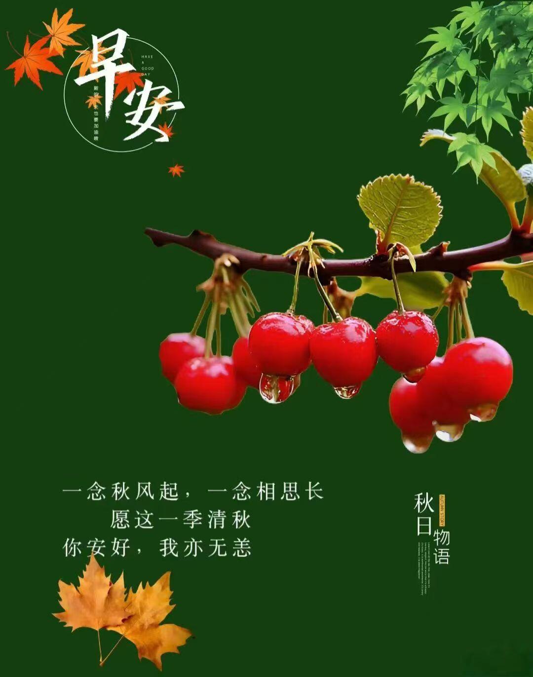 下联：
东西南北八方刮风

秋日生活打卡季