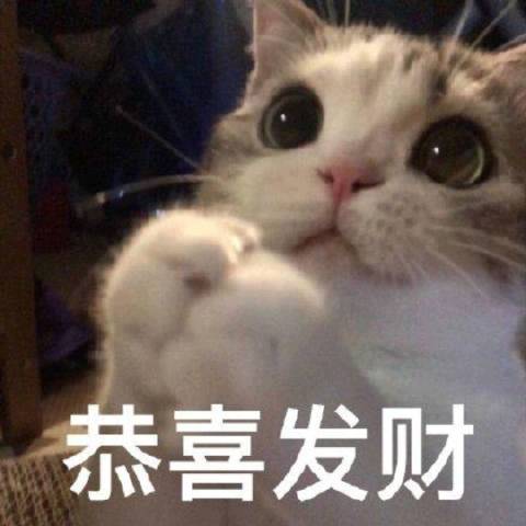 笑柳观趣事
