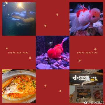 “人类迷惑行为之踱步动物园”<br /><br />---<br />...