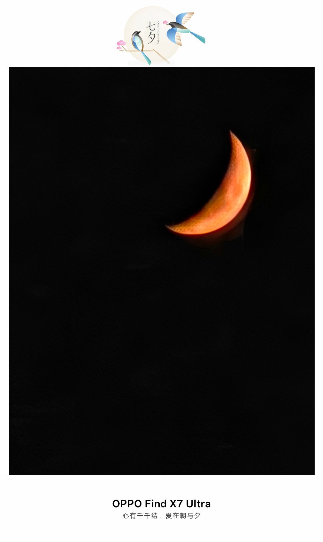 今天在西湖边拍了两张照片，秀了一下OPPO Find X7 Ultra的夜景能力，刚好也是七夕节，用上了七夕的水印。说实话夜景还是vivo蔡司顶级，OPPO哈苏还是适合白天拍风光  ​