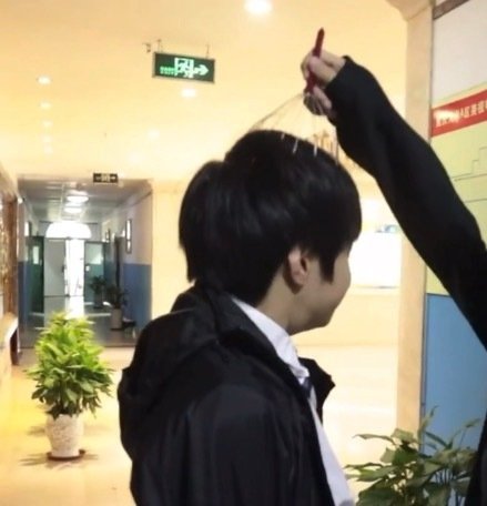 这猪猪孩儿把我萌化了啊啊啊啊
#刘耀文 廿一涵锋淬焰驰光# ​