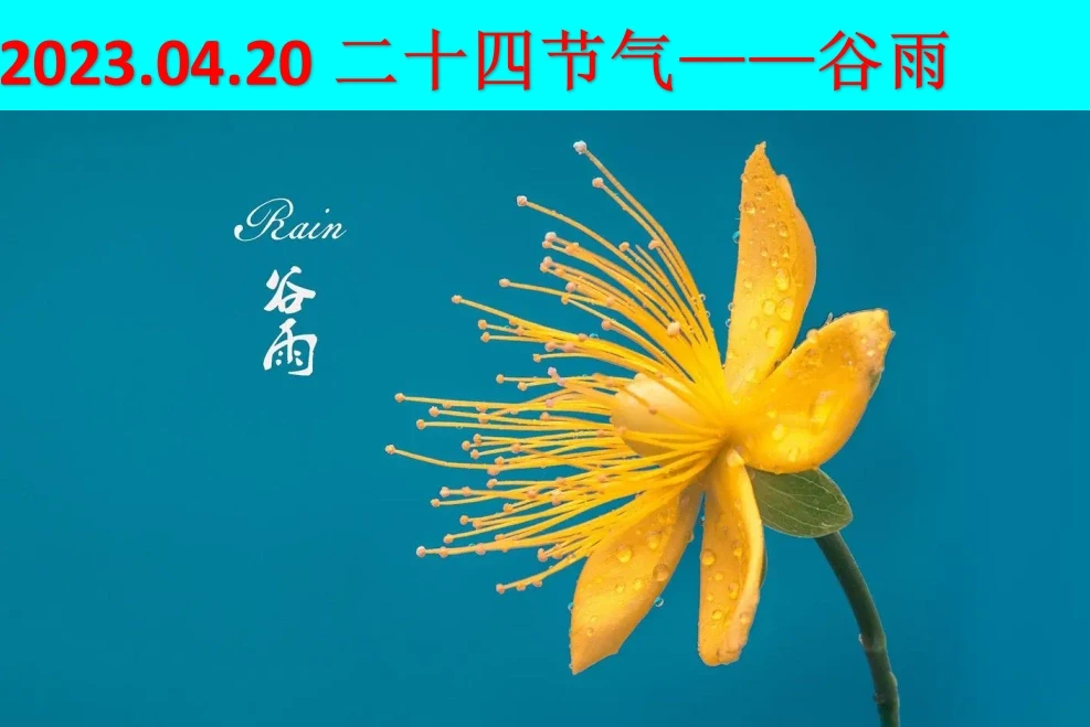 “细雨连绵暮春到，雨生百谷夏将至。”