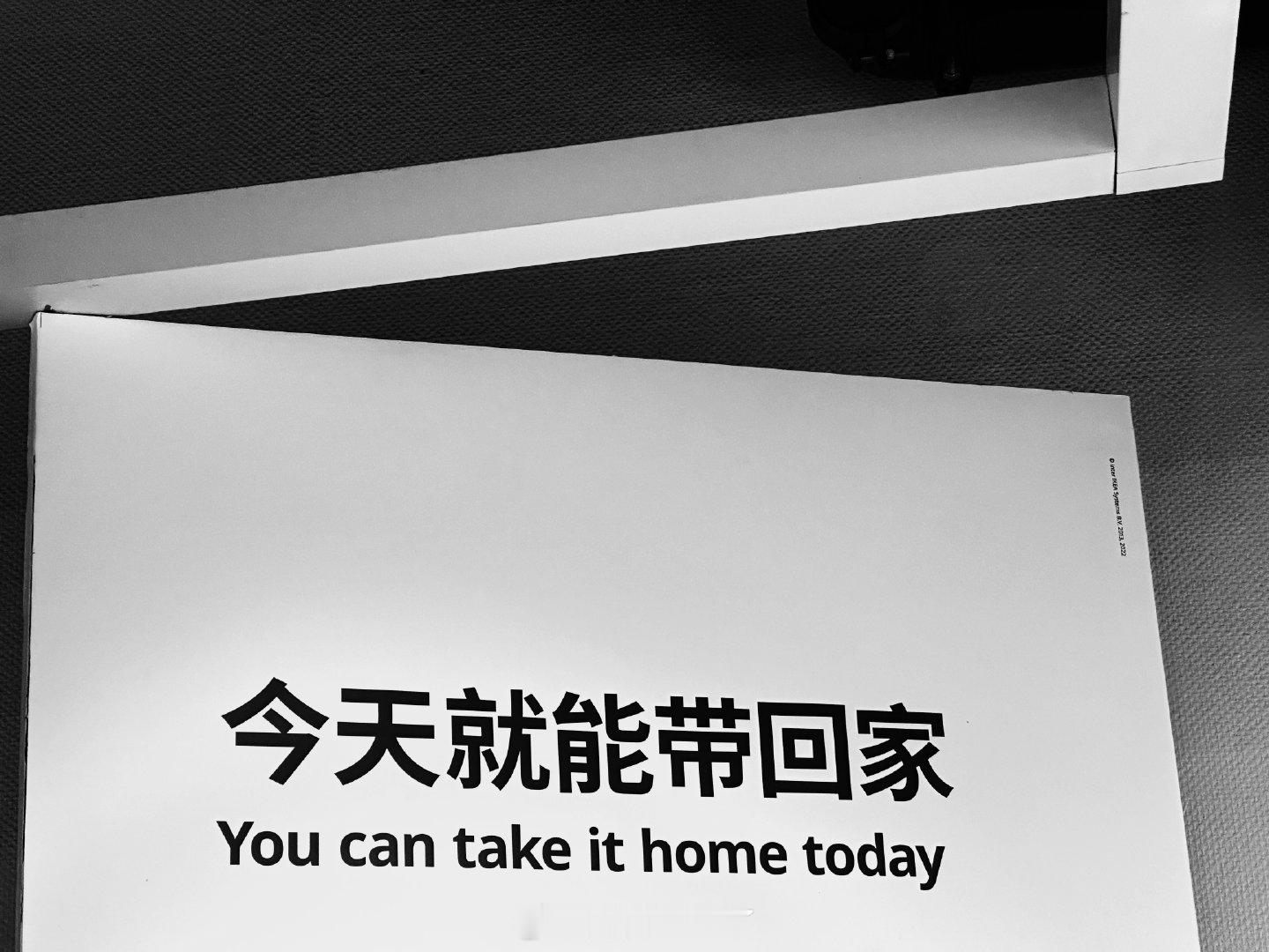 [奶牛猫]

             ins风格嘛 
家里随拍就有。

#朋友圈背景图[超话]##无水印背景图[超话]##apple[超话]##生活手记##猫咪##plog[超话]#  ​