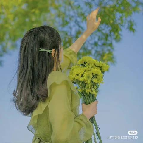 素笺淡墨爱游戏