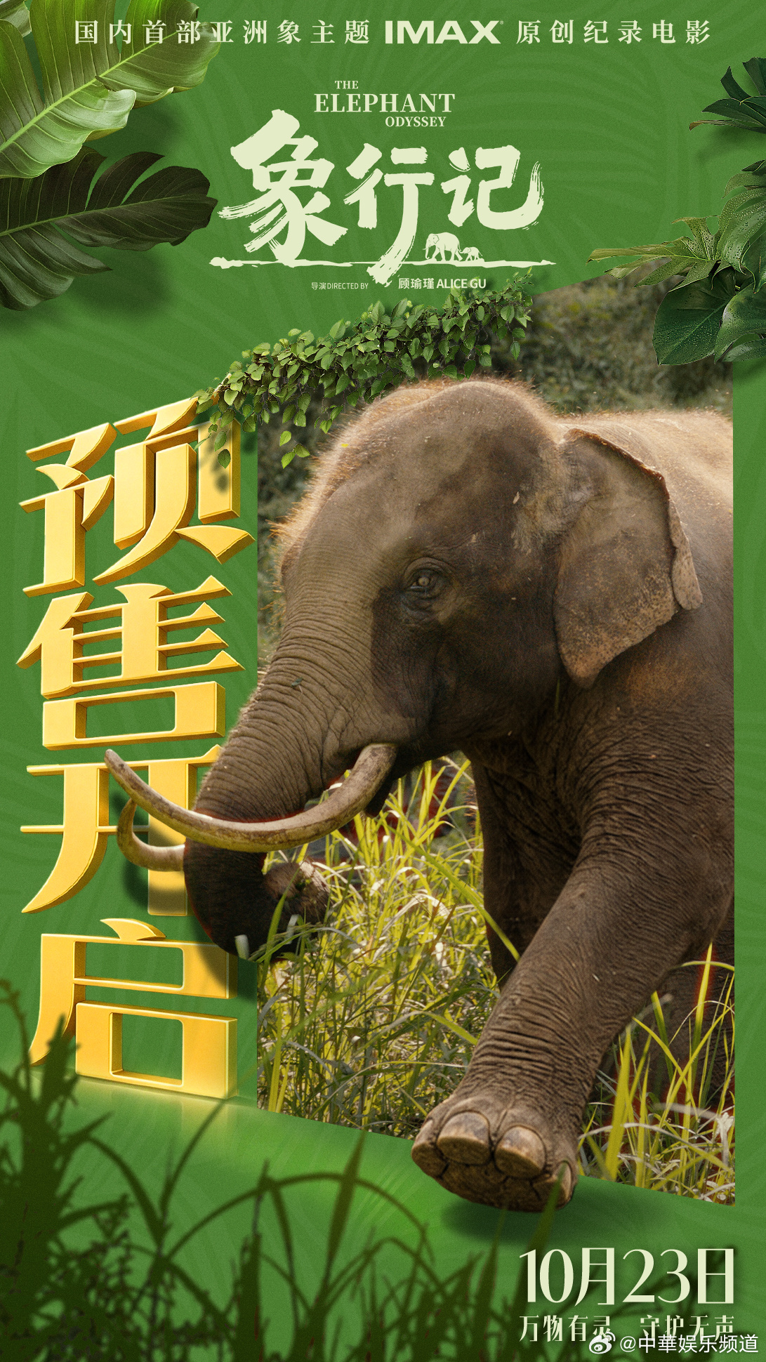 【国内首部亚洲象主题 IMAX 原创纪录#电影象行记预售开启# 】影片一条线聚焦“短鼻家族”历时17个月的“北上南归”之旅，另外一条线则聚焦救助象“阿宝”重返雨林的真实故事。影片由美籍华裔纪录片导演顾瑜瑾执导，奥斯卡获奖佳作《徒手攀岩》摄影师克莱尔·波普金担任摄影指导，IMAX 特制拍摄。 ​