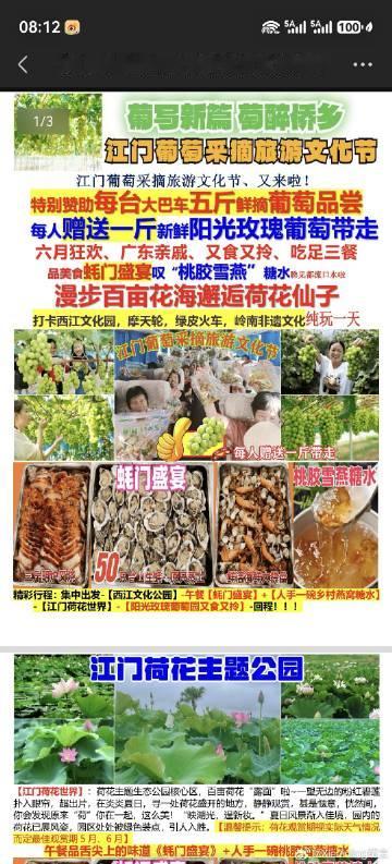 广州海珠广场出发去江门一日游去摘葡萄🍇江门葡萄采摘旅游文化节。