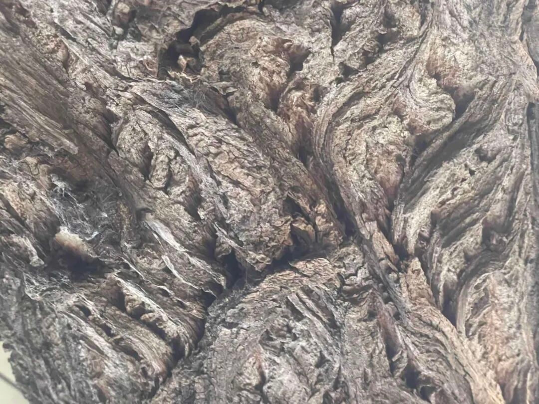 什么是人情世故，说白了，那就是利益交换，当你没有任何利用价值的时候，你...