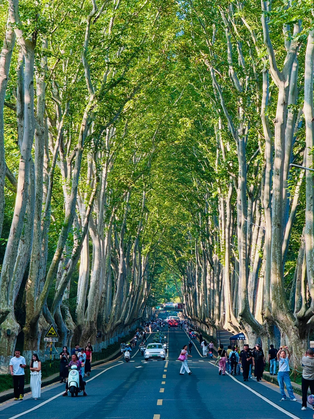 南京最好的都是免费的。。。