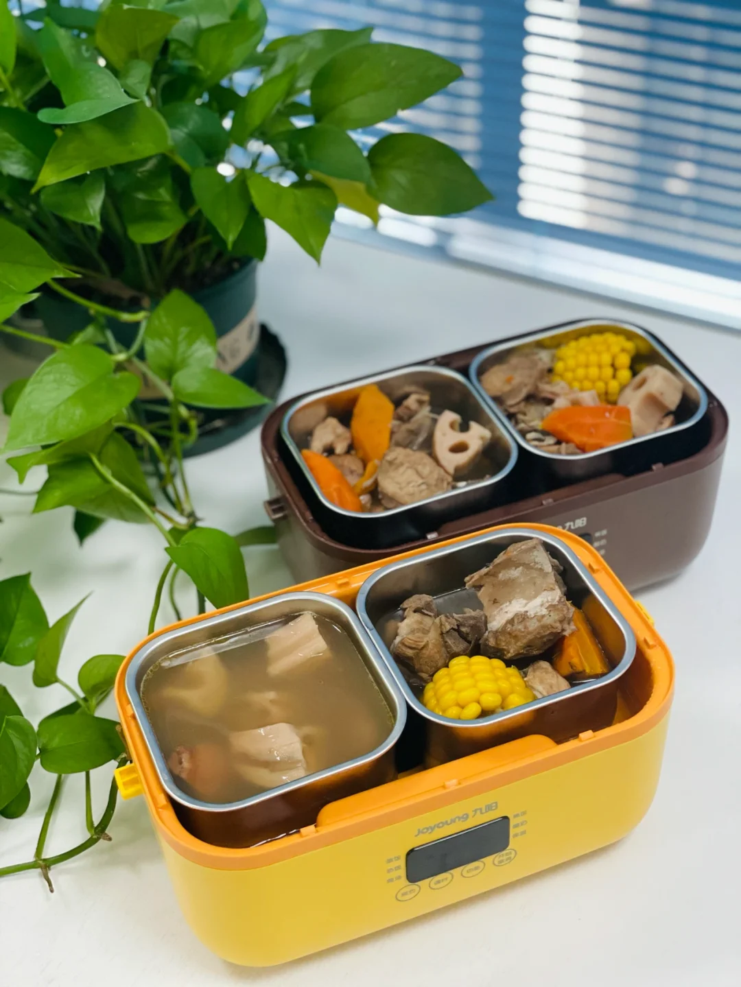 午餐打卡～排骨莲藕汤