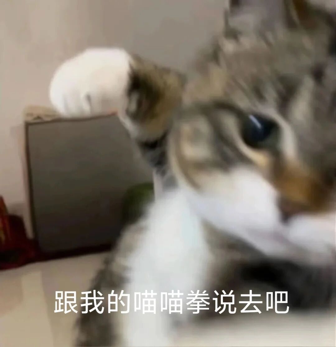 我是不会停止收集这种表情包的