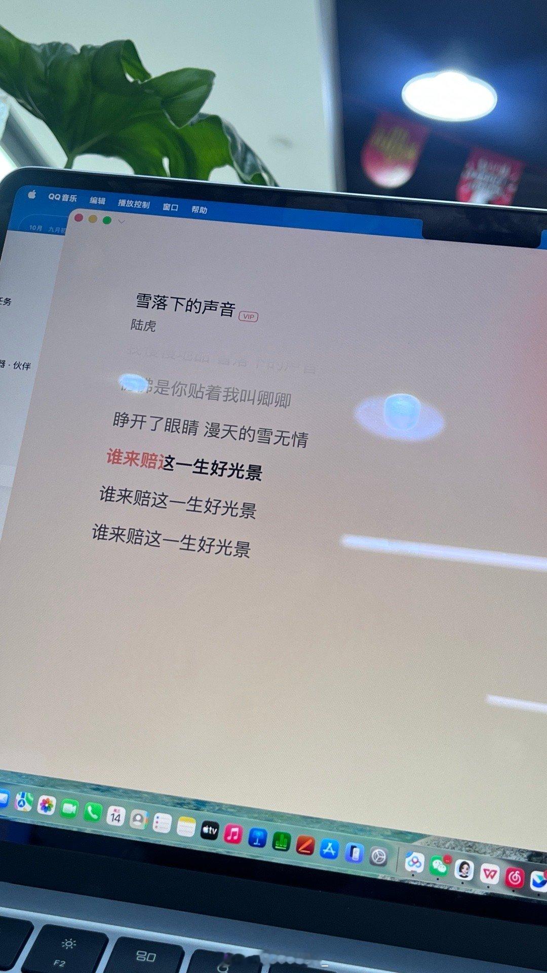谁来赔这一生好光景 ​