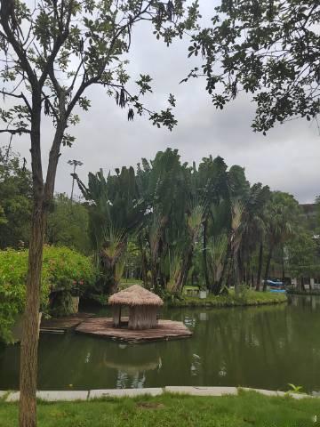 越秀公园湖心岛