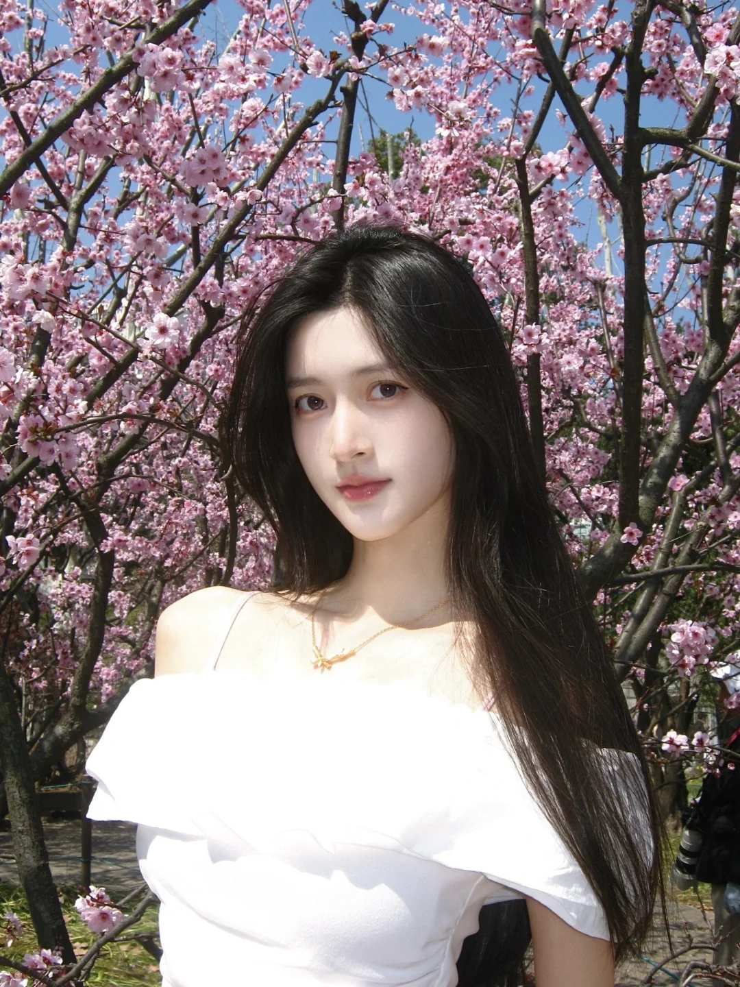 樱花吻上脸颊 🩰🎐