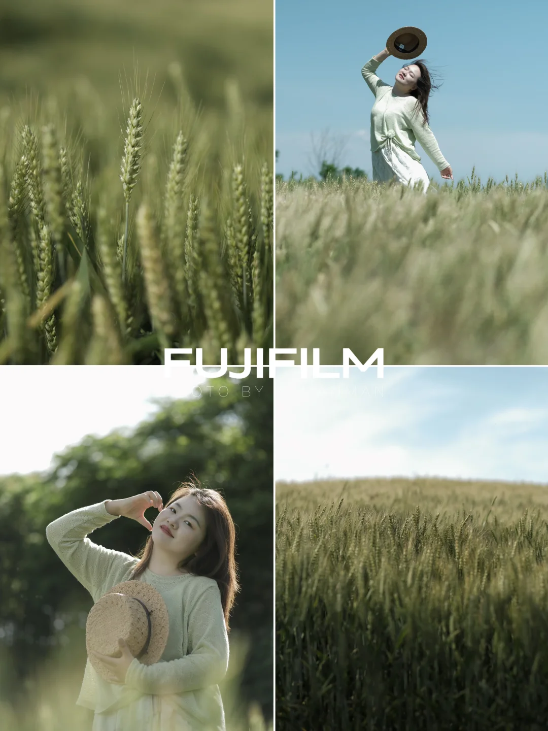 FUJIFILM📷｜麦田这样拍，直接封神！🌾