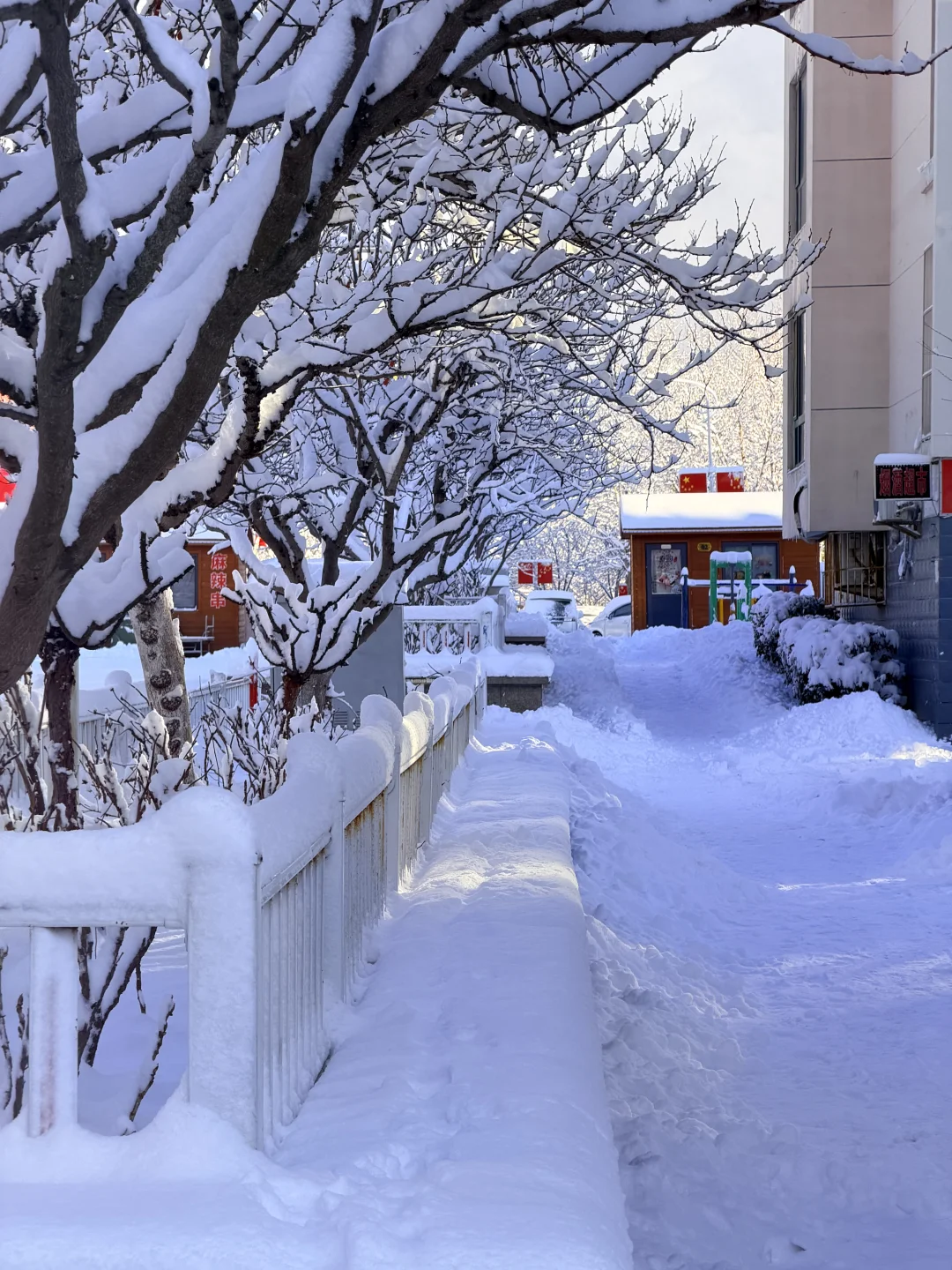 雪过天晴的威海好像北欧的小镇！