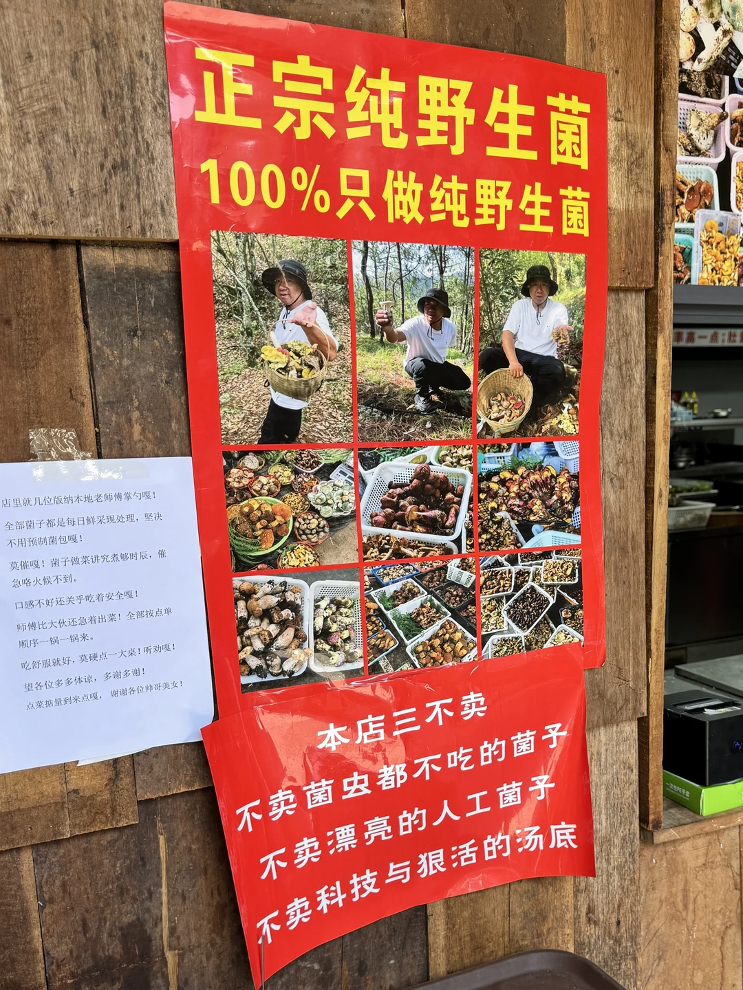 西双版纳后劲最大的干菌福地