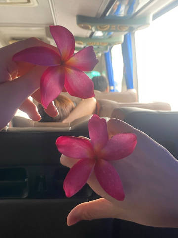 南沙～