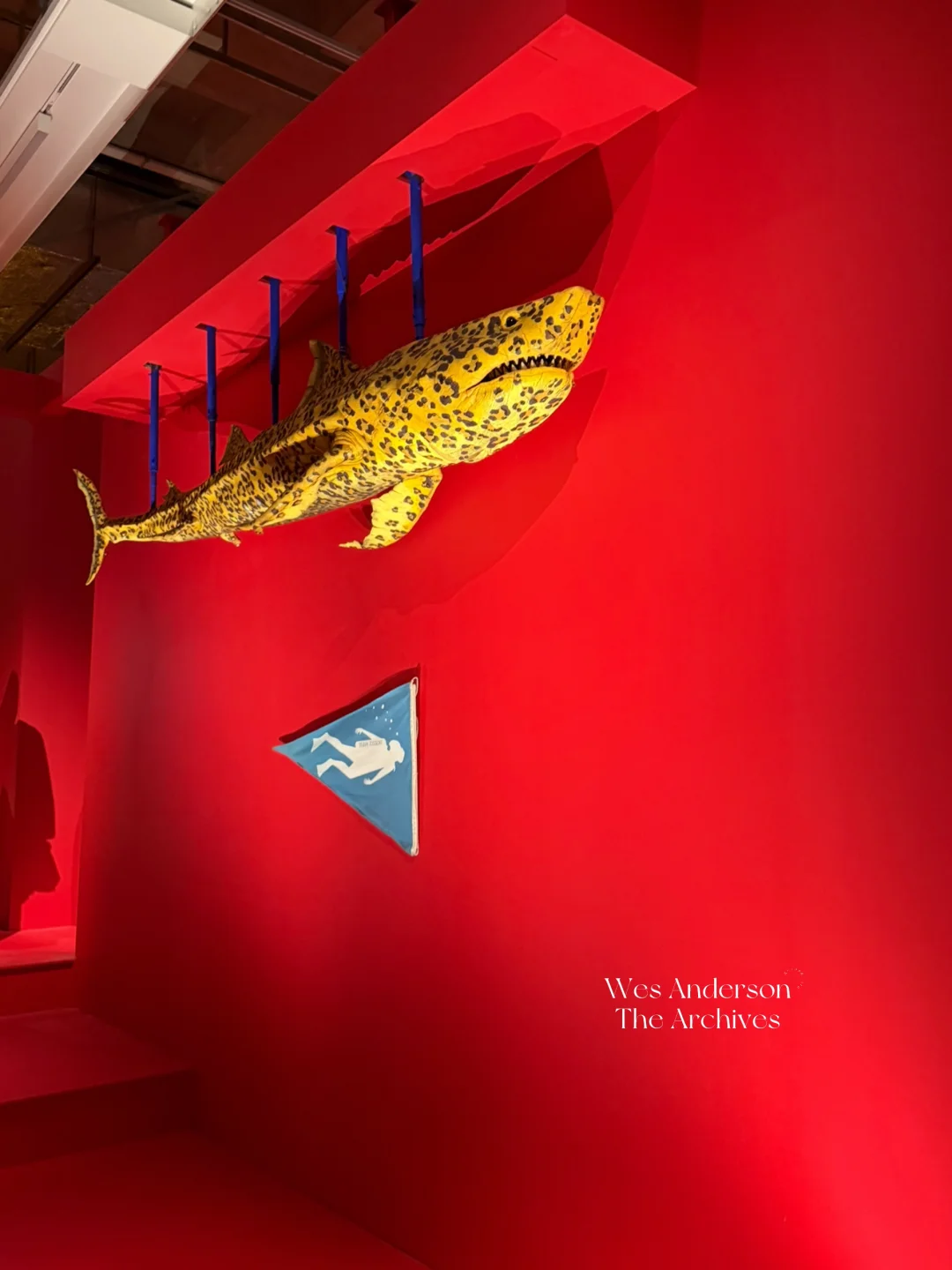 🎨色彩与浪漫｜伦敦 Wes Anderson 新展