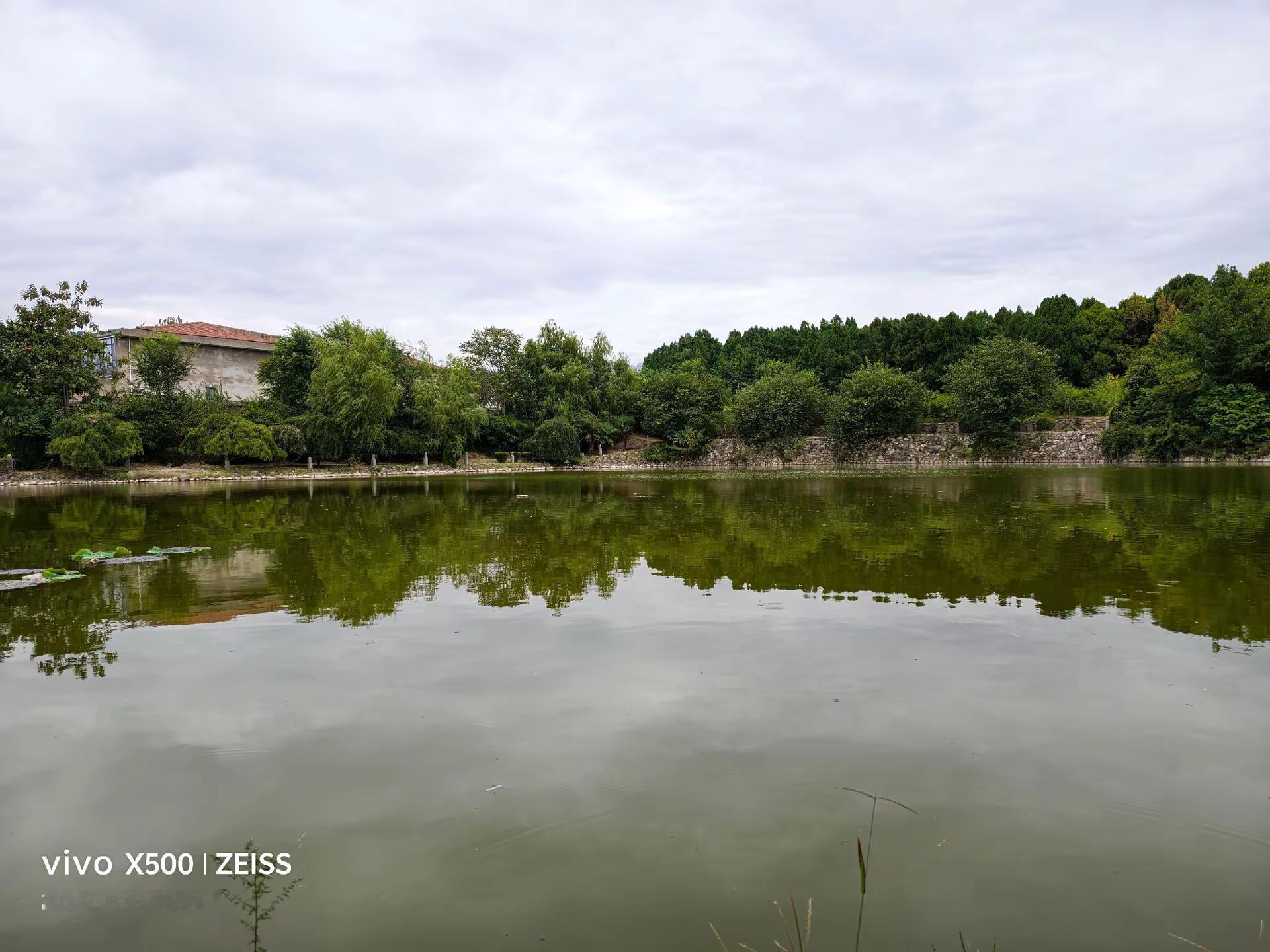 公园湖边治愈系风景。