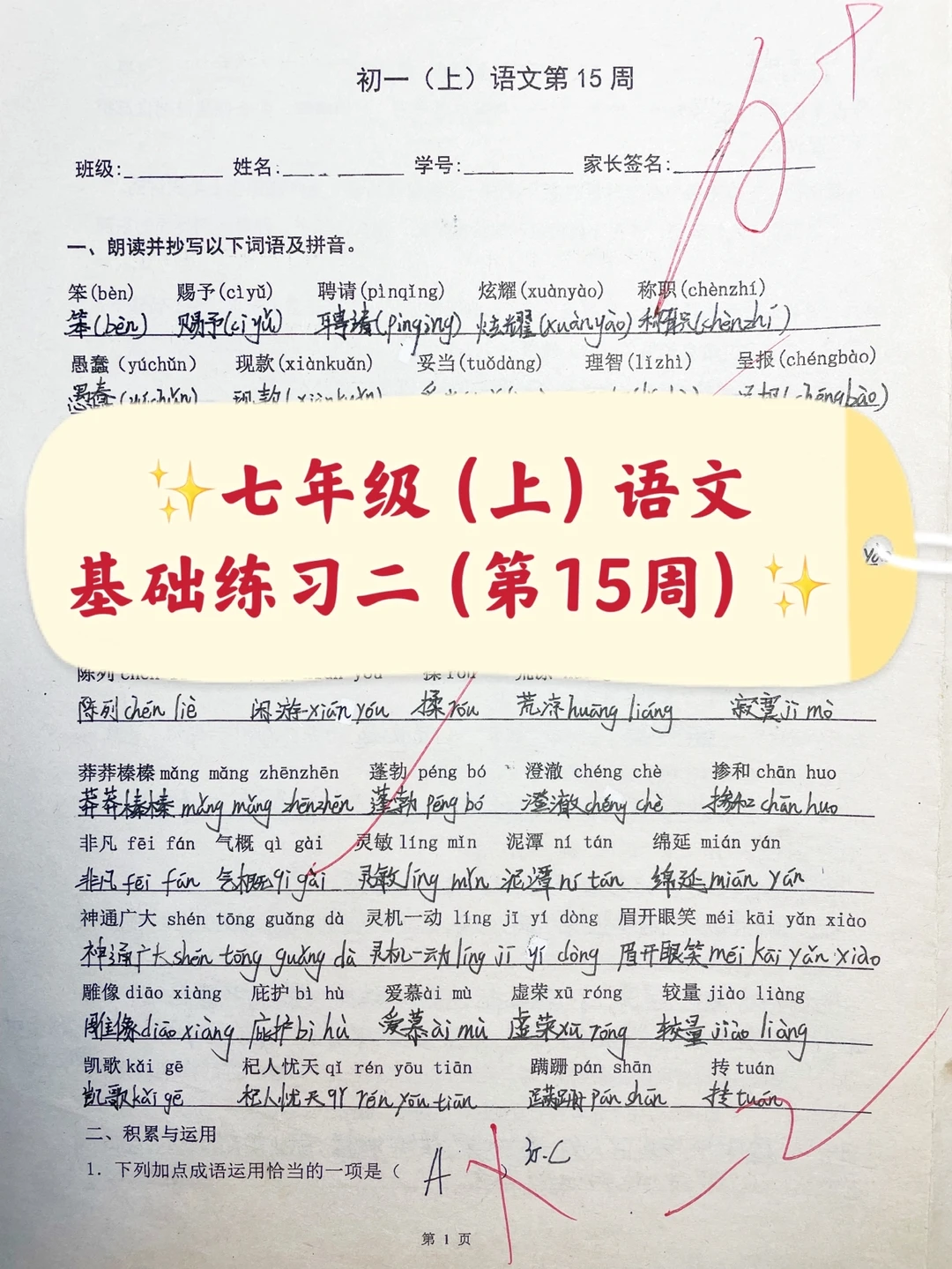七年级（上）语文基础练习二