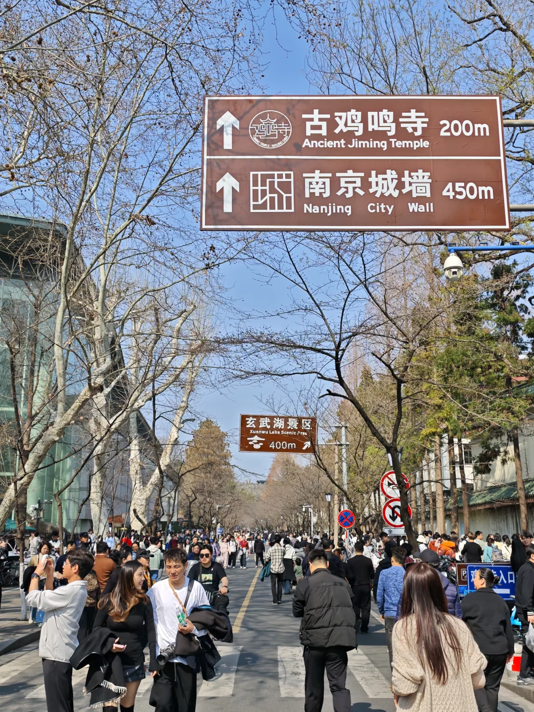 🌸3.14实况｜南京鸡鸣寺樱花开啦！再等等