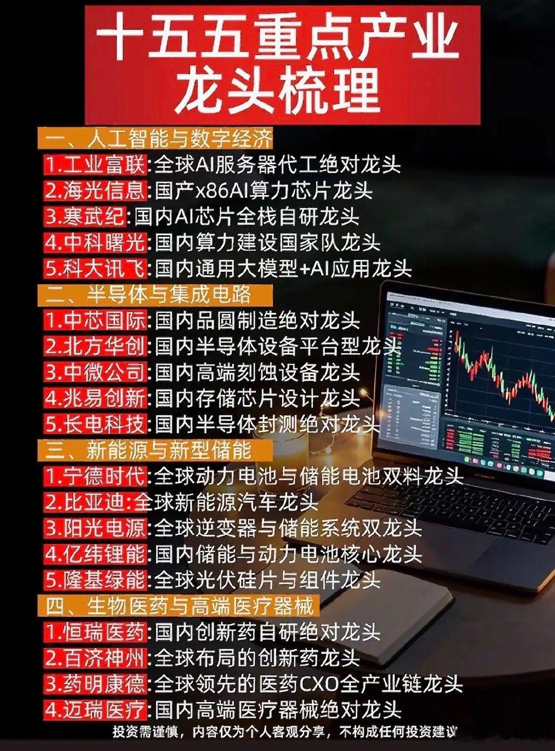 十五五重点几个行业的龙头公司 ​