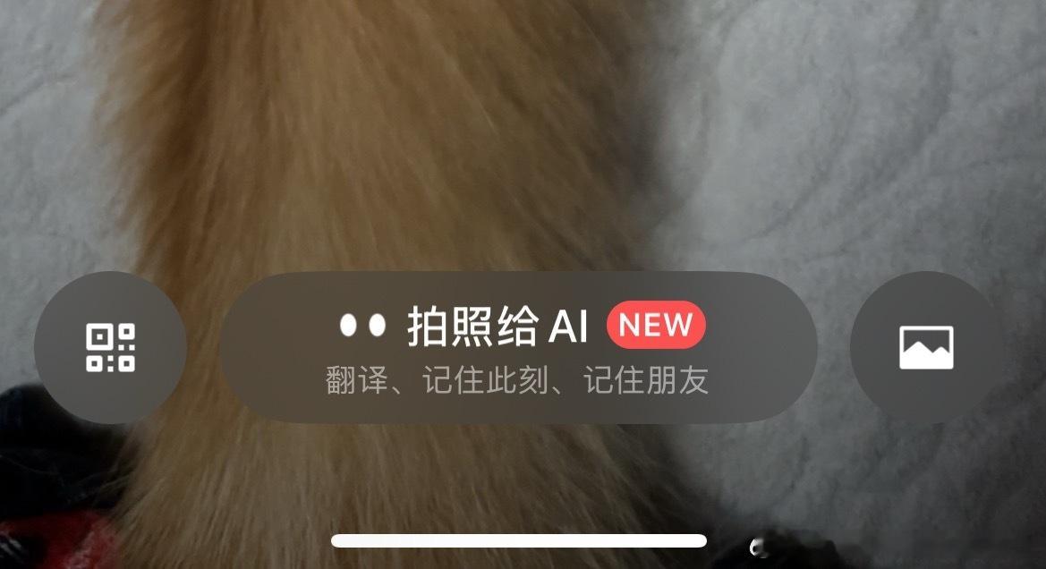 🙈我一直以为我没有被内测，但在🍠上看到关于小微的截图又觉得这俩椭圆小点儿我好像在哪见过…直到我点开了分享和扫一扫….哇靠你藏的好深啊！！！！

[苦涩]一个主聊天的app为什么要内置AI啊？发朋友圈不是主要是记录生活和当时的心情吗？大部分人应该不需要AI帮助分析现在朋友圈里流行什么吧？? ​