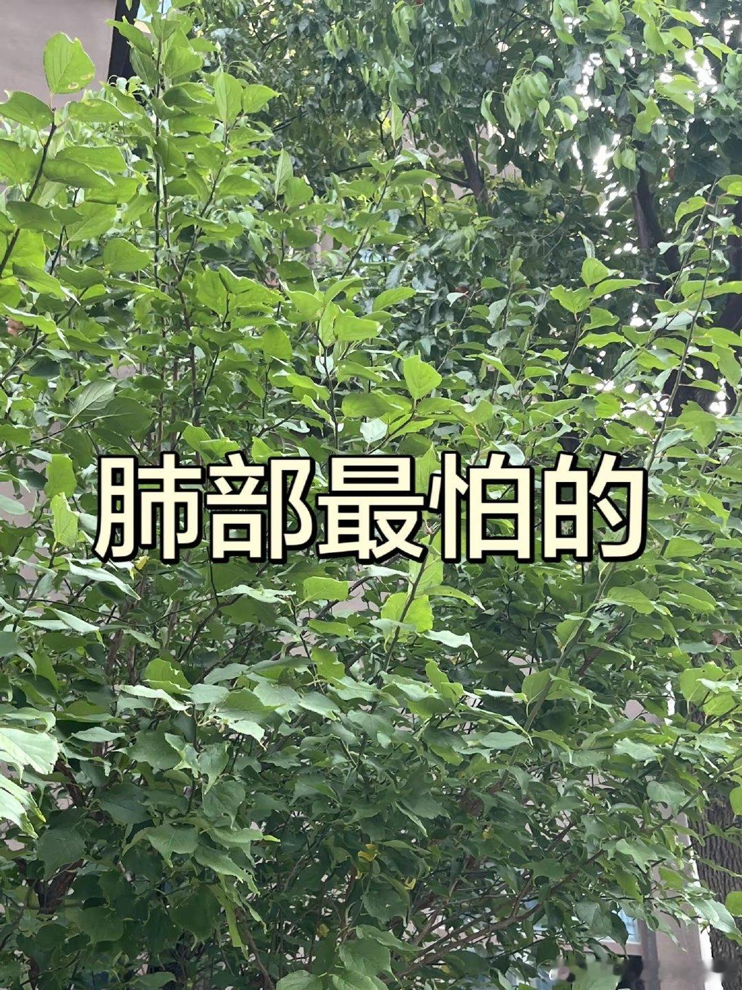 2026年斯诺克上海大师赛半决赛，中国选手吴宜泽以6比10不敌世界排名...