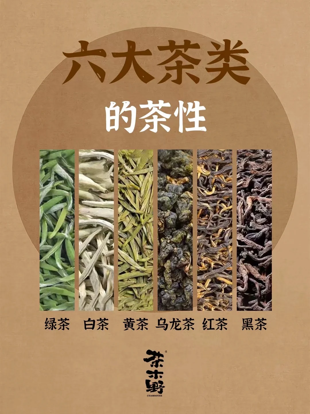 知识分享丨一分钟了解六大茶类的茶性