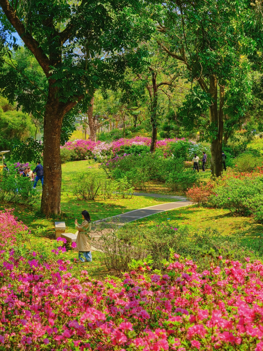 广州这里装满了整个春天🌸绿意花香太治愈了