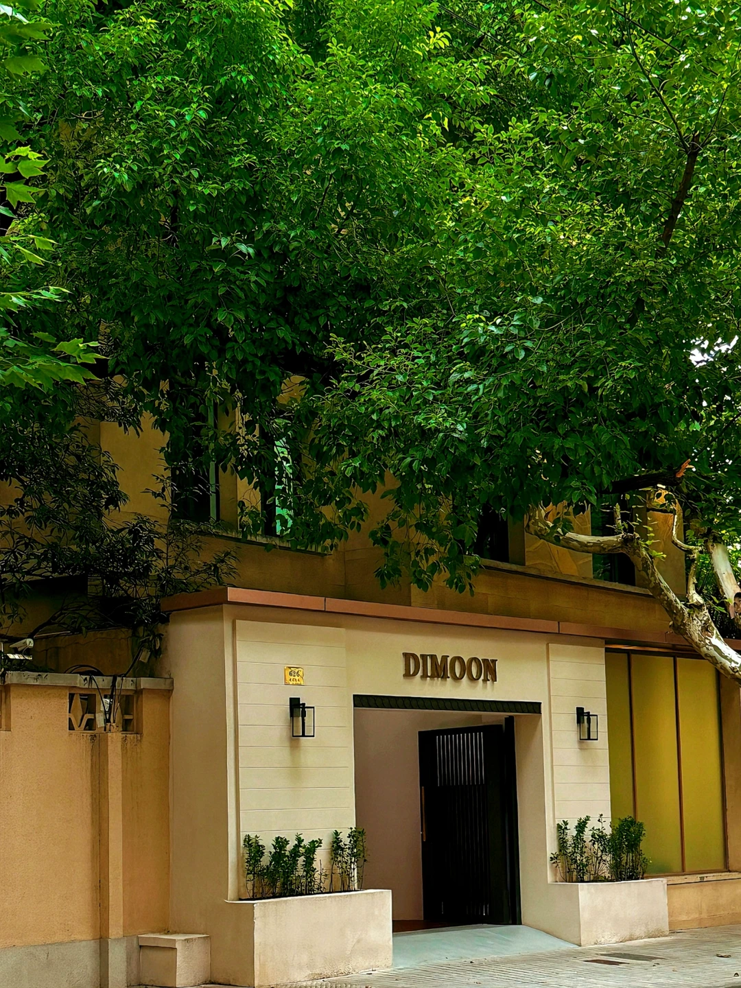 🍂📸真的不敢想象入秋的建国西路得有多美！