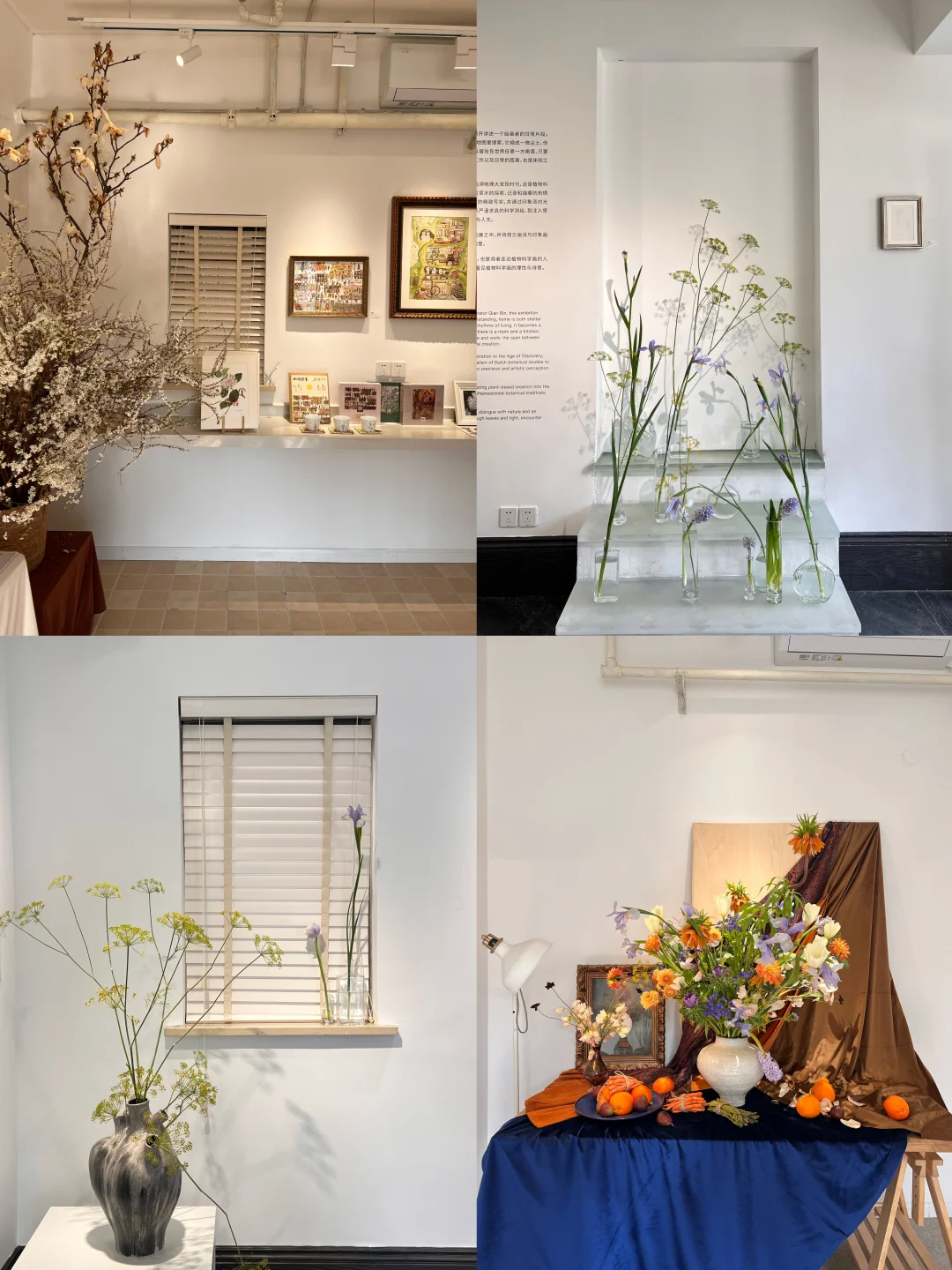 上海一个关于春天的免费🆓小展🌼🌸