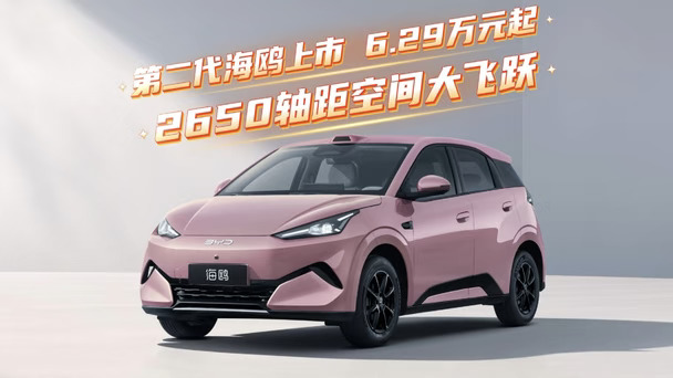 第二代海鸥上市6.29万元起 2650轴距