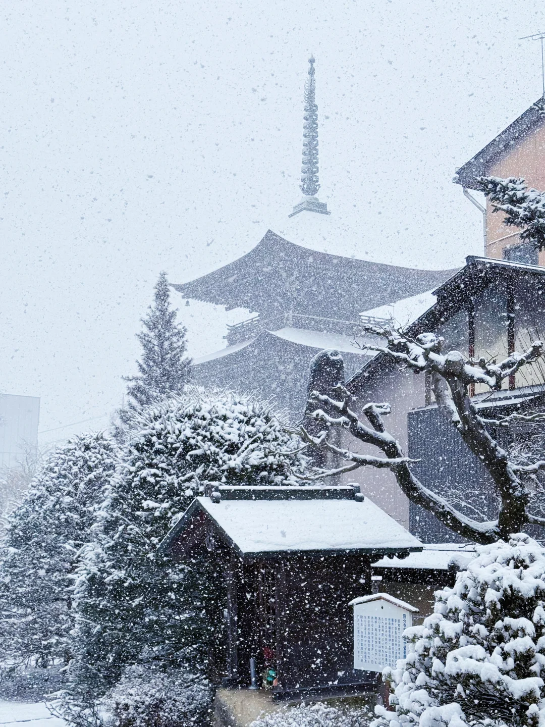 日本🇯🇵的大雪❄️真的不一样！