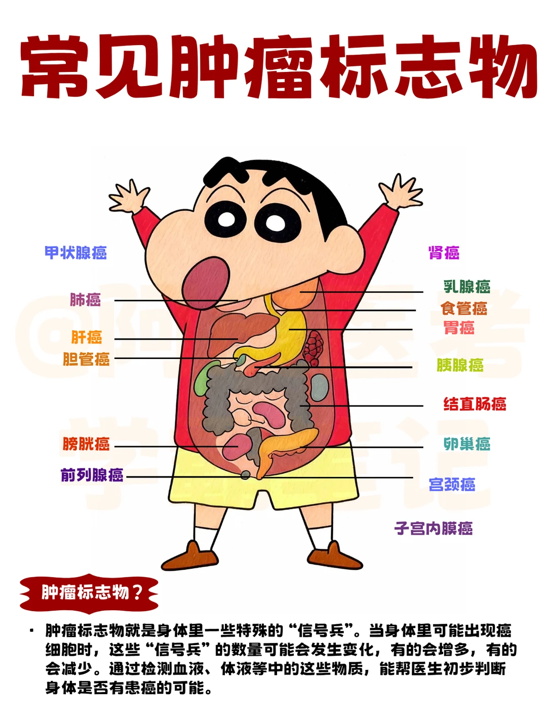 阿虎医考笔记‖常见肿瘤标志物