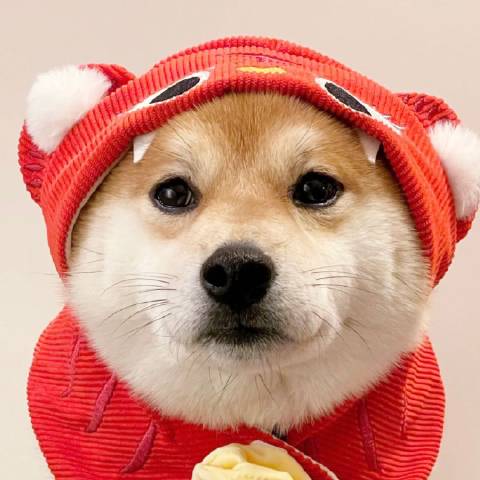是你大表姨呀