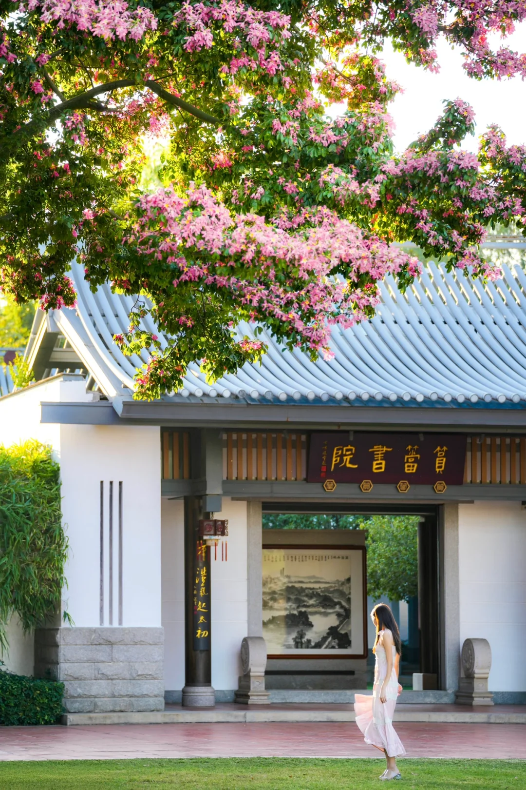 冬天的厦门是倒放的春天🌸