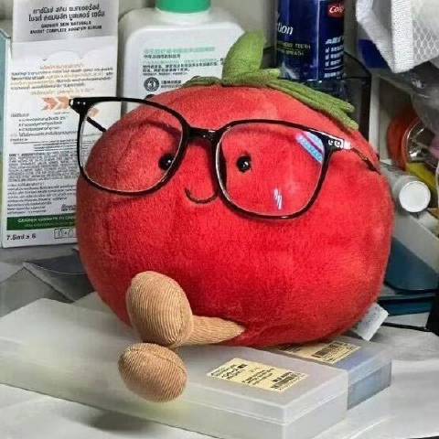 柿柿不炒蛋