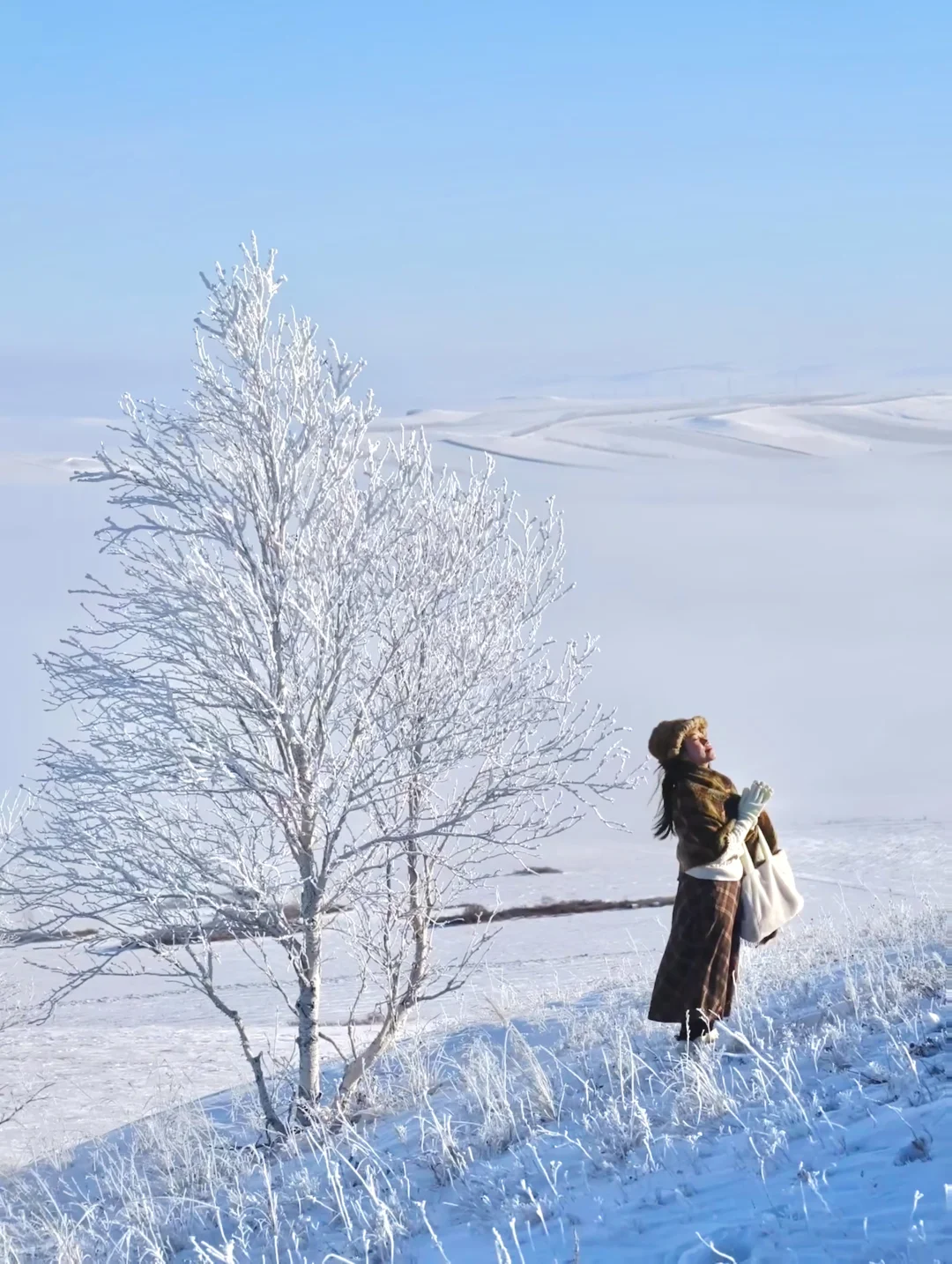 实拍Live！呼伦贝尔的冬天❄️真的太美了😭