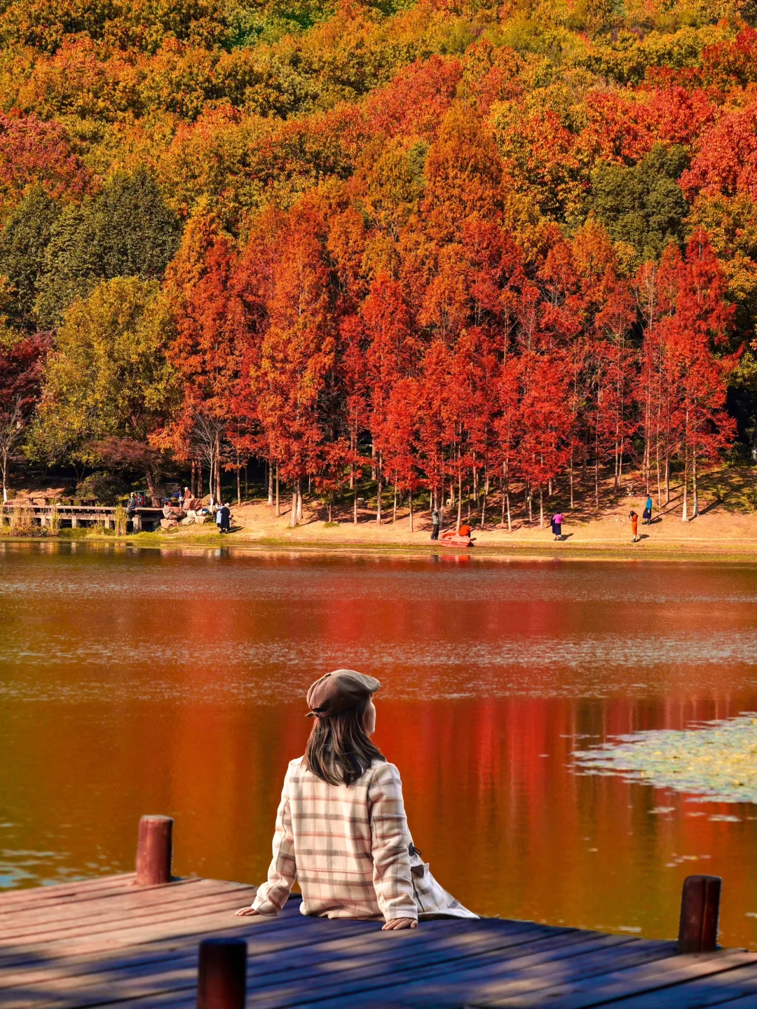 南京喀纳斯！没有一座城市比南京更懂秋天！