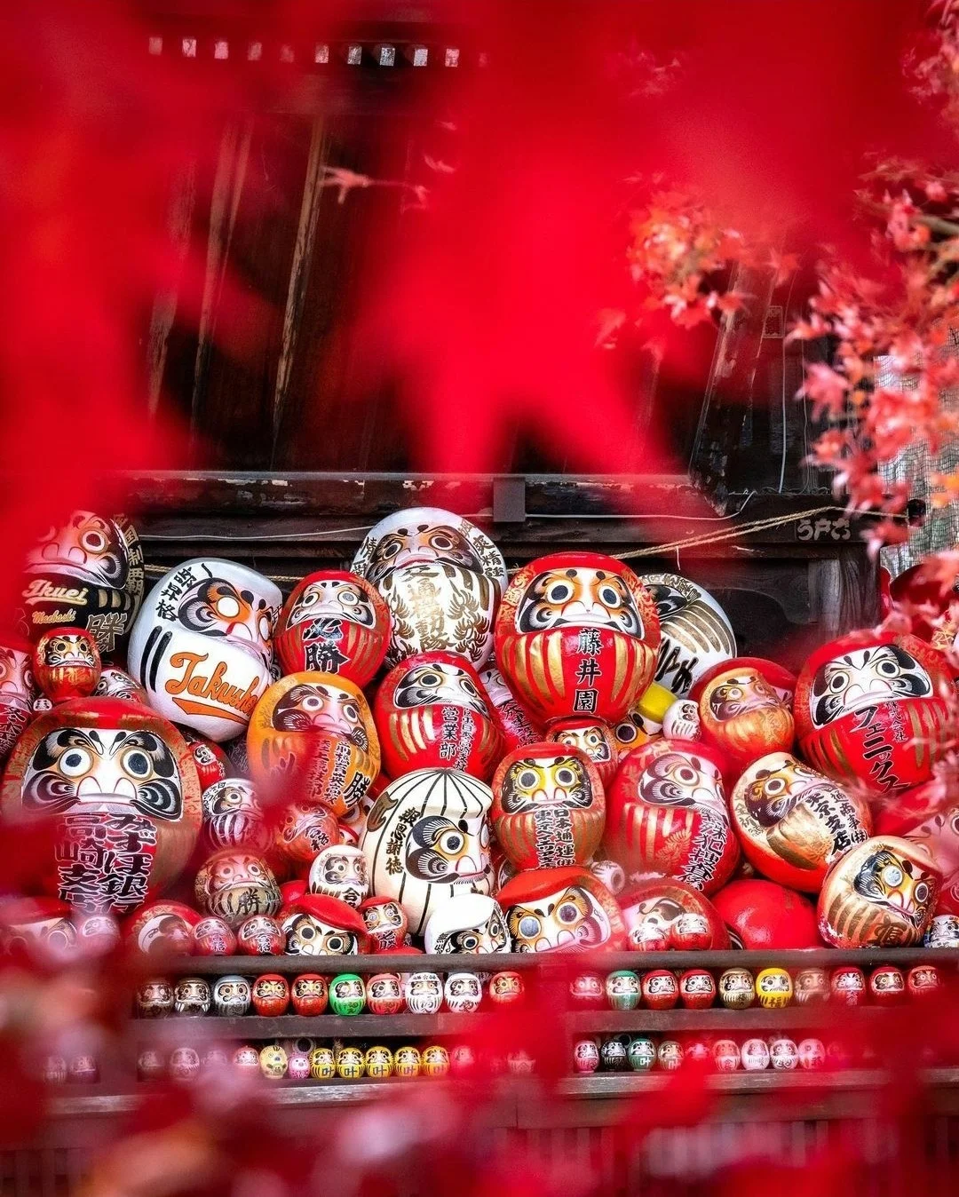 日本群马县|新的一年求好运快来达摩寺祈福