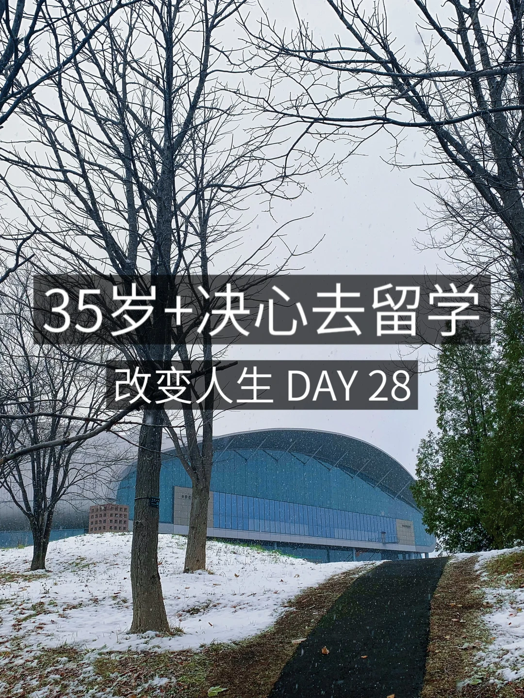 35岁+女青年留学✈️情绪调理可以续命