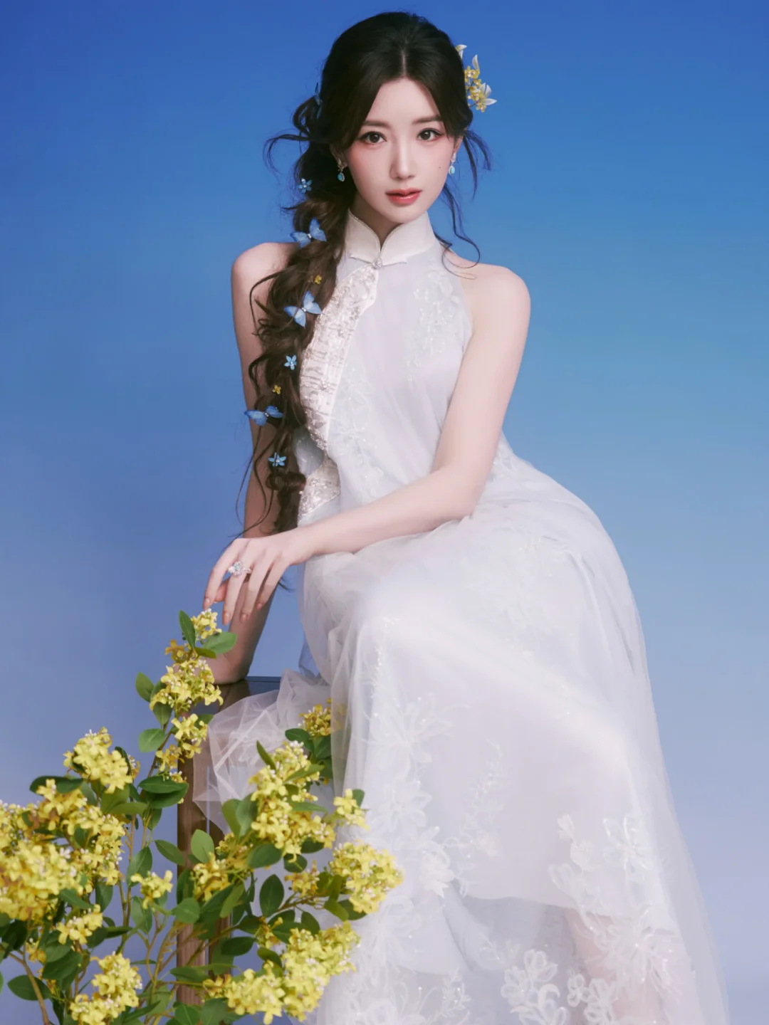 毛晓彤